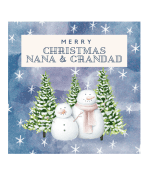 Christmas snow family