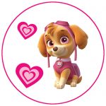 Skye Paw Patrol